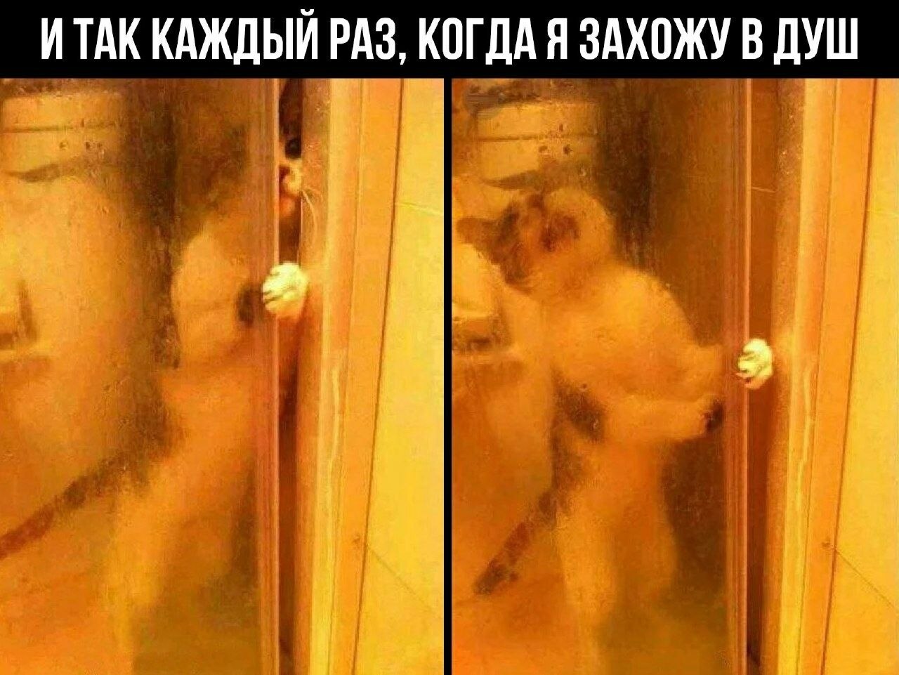    - 9  2023  14:41