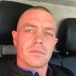 ���������, ����, 41 ���