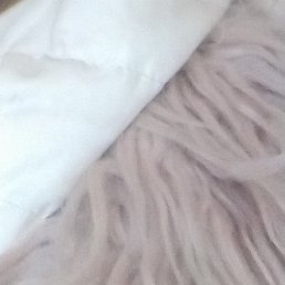 �������, ������, 47 ���