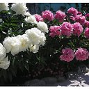 ���� ������, ����������� - ��������� 24 ��� 2025 � ������ ���� ����������