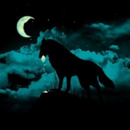 �������, ���, 23 ����