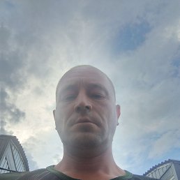 , 41, 