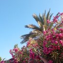 ���� �����, ������, 73 ���� - ��������� 28 ������ 2026 � ������ ���� ����������