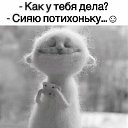 ���� �����, �����������, 54 ���� - ��������� 24 ����� 2026 � ������ ���� ����������