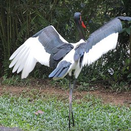 ������, ���������, 55 ���