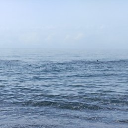 �������, ������, 53 ����