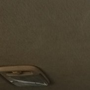 , 37 , 