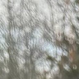 �����, ���������, 63 ����