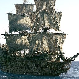 ���������, ������, 84 ����