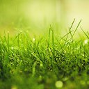 ���� �����, ���������, 25 ��� - ��������� 5 ������ 2023