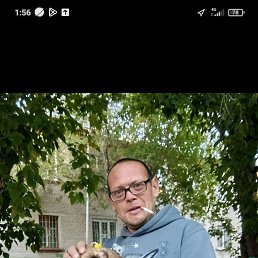 ������, ����, 43 ����