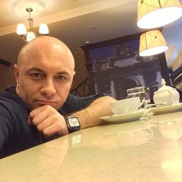 ����, 41 ���, ����������