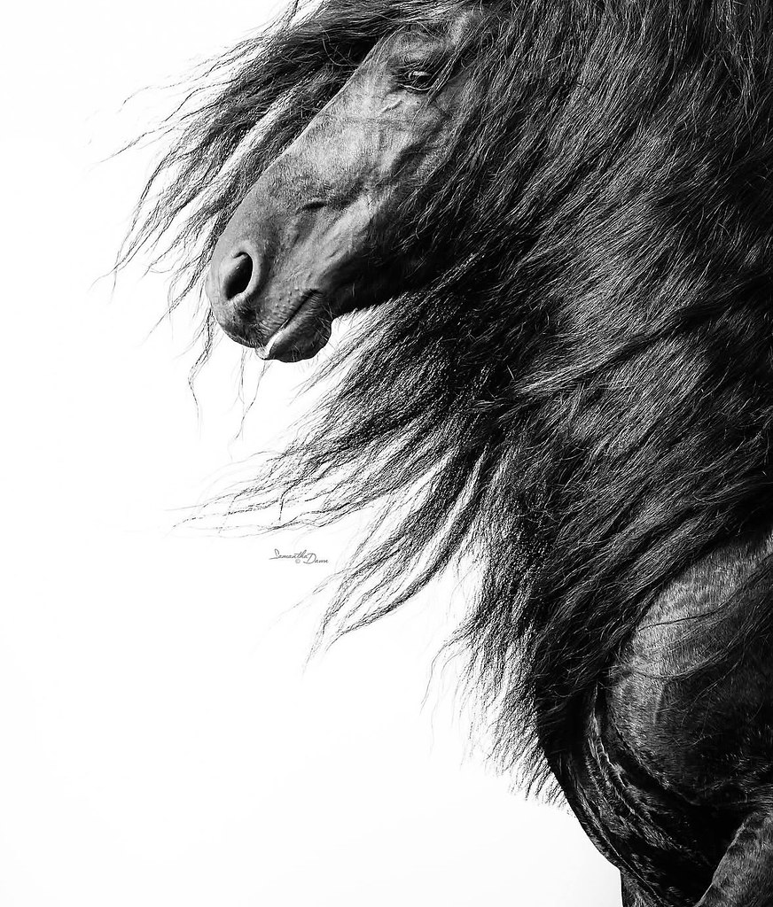  -   ! - 9  2025  18:55