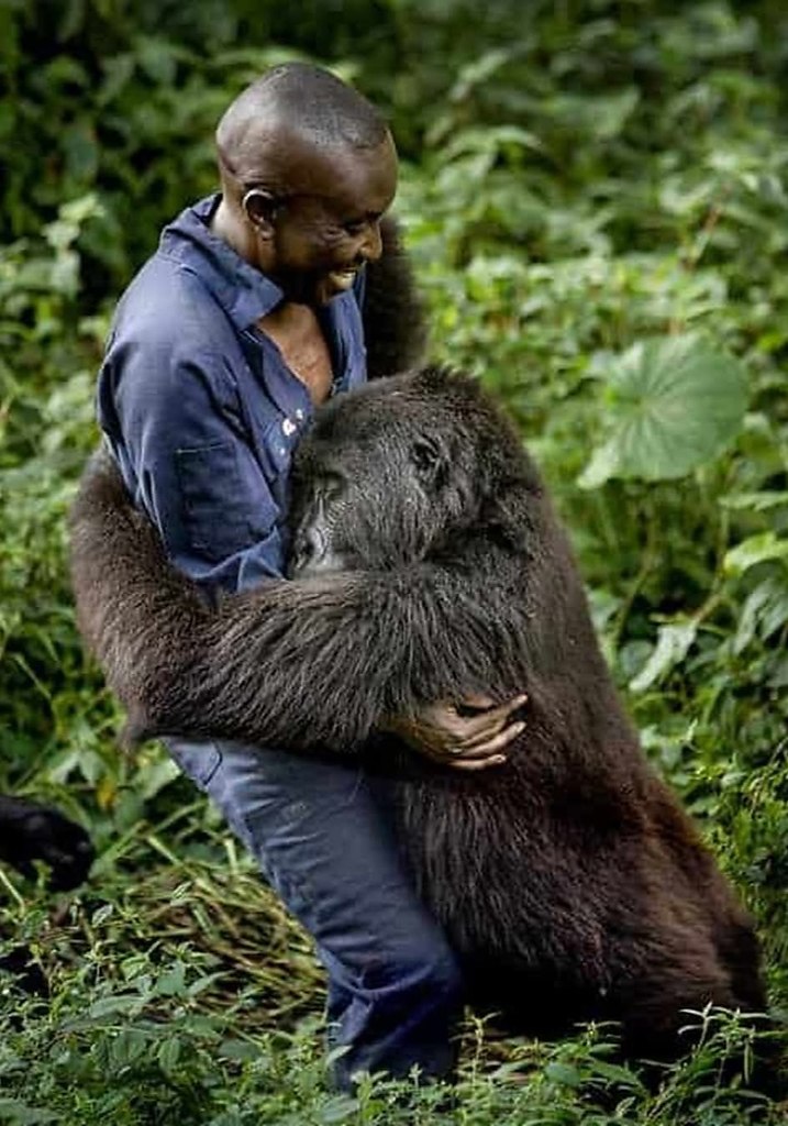  :  !    ,      ,  ...