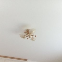 , , 49 