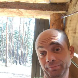 ����, ������, 40 ���