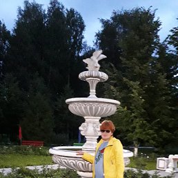 , 66, 