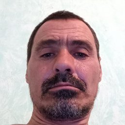 , , 41 