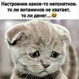 ���� �������, ������, 50 ��� - ��������� 21 ������� 2023