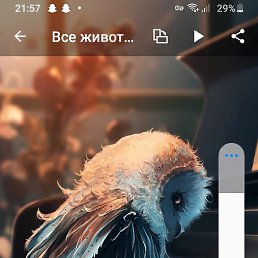 , , 46 