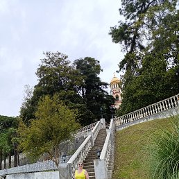, 53, 