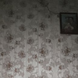 , 54, 