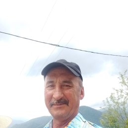, 51, 