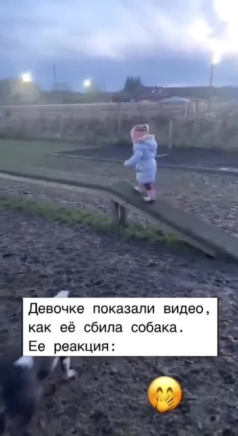 Ох уж эти дети!