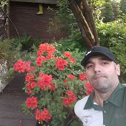 , 40 , 