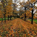 ���� Vidas, ��������, 64 ���� - ��������� 23 ������� 2025 � ������ ������ ��������