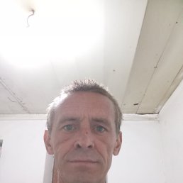 , 44, 