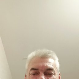 , 46 , 