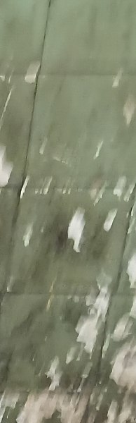 ��������, �����������, 48 ���