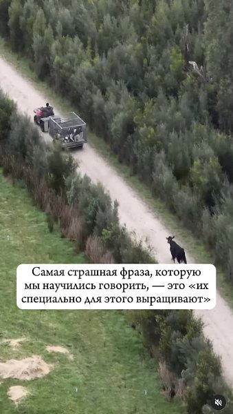 «Если бы у скотобоен были стеклянные стены, все люди были бы вегетарианцами». (Пол МакКартни)