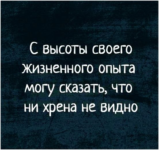   - 28  2025  01:03
