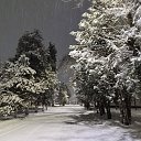 ���� ������, ������������, 55 ��� - ��������� 5 ������ 2026 � ������ ������ ��������