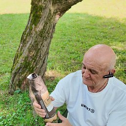 ���� ��������, �������, 64 ���� - ��������� 6 ����� 2026