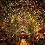 �����-���������, 35 ���, ������