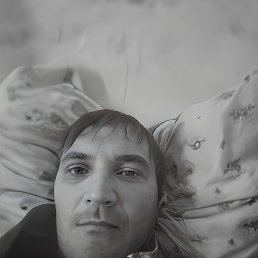 ����, 38 ���, �����