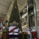 ���� ������, ���������, 53 ���� - ��������� 8 ������� 2024 � ������ ���� ����������