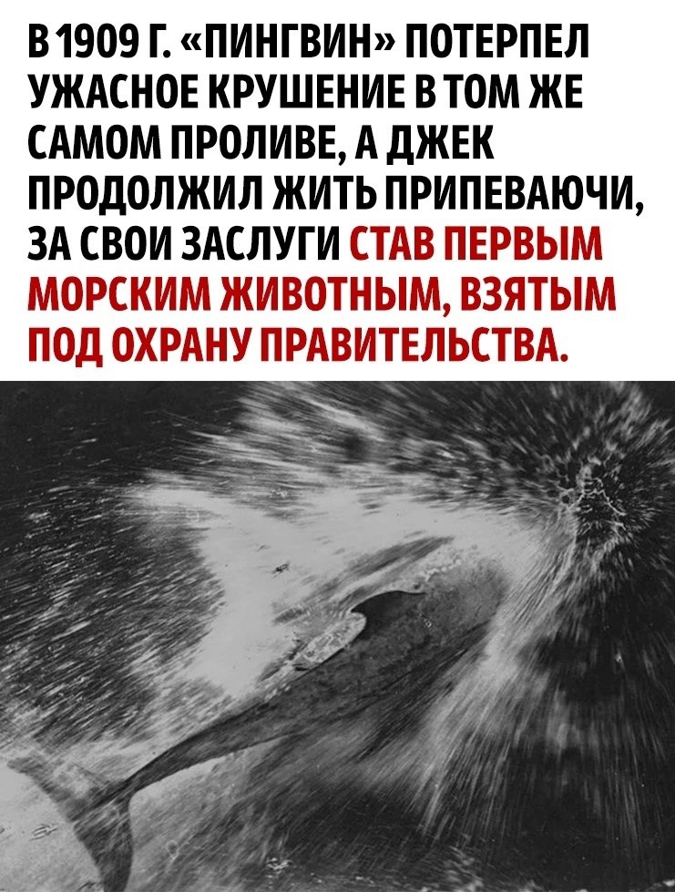     ! - 3