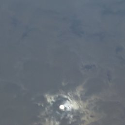 ���� Moonlight, �����, 35 ��� - ��������� 29 ������� 2023