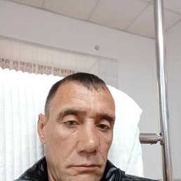 ����, 45 ���, ���������