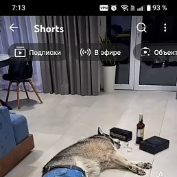 ����, ������, 21 ���