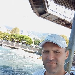 , 41 ,  