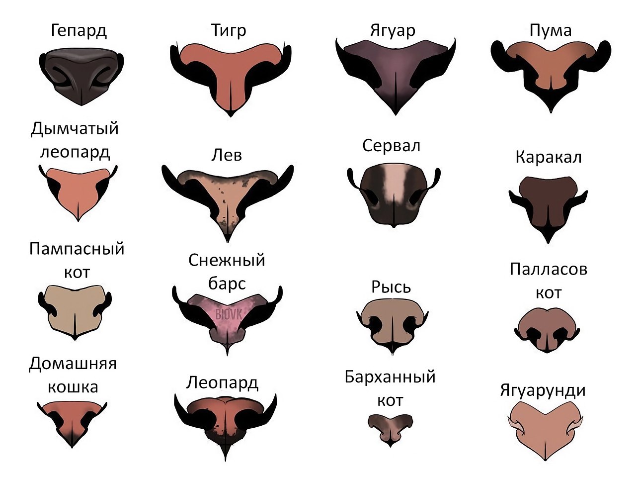 ������� ��������� ����. ���������. ����, ���� �� � ����� ����, � �������, �� �������, � ����� ��� ...