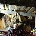 ���� ����� ���������, ����������, 52 ���� - ��������� 13 ������� 2025 � ������ ���� ����������