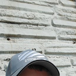 �����, 29 ���, �����������