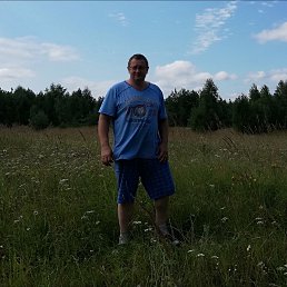 , 53,  