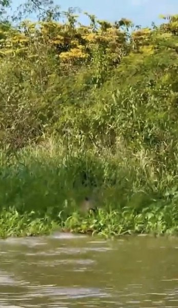   :    .       ... - 2